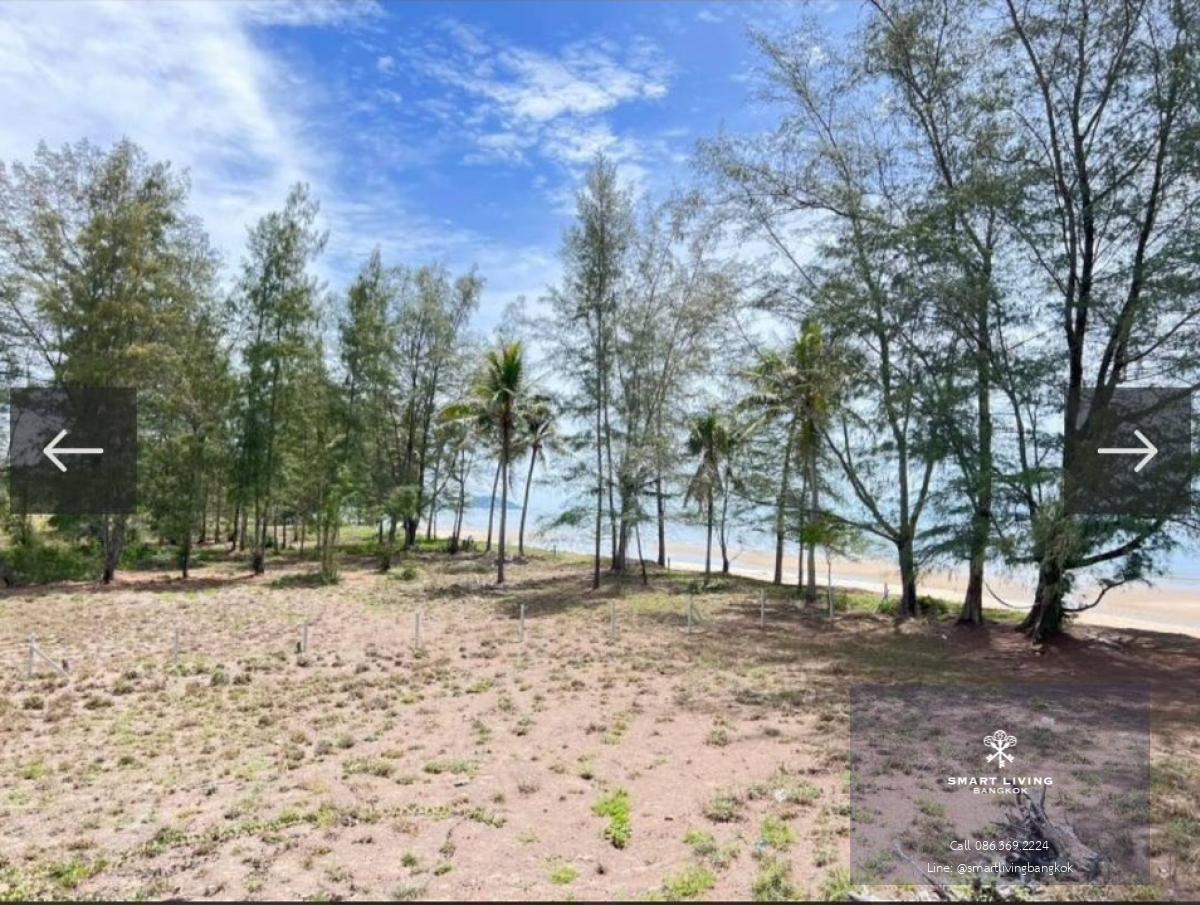 📢👇ขาย ที่ดิน ติดทะเล หาดสวย น้ำใส สงบเงียบ ราคาไม่แพง เหมาะที่จะทำบ้านพักตากอากาศ หรือ รีสอร์ต