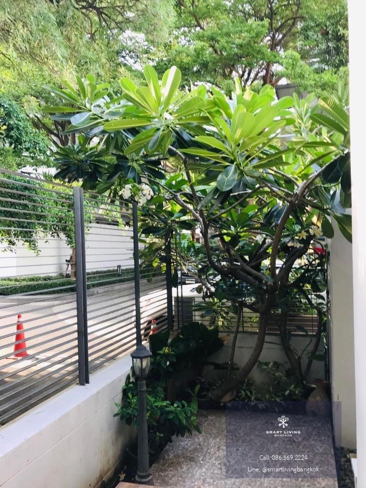 ✨ 👍For rent 3 storey Townhome near Central ladprao , small dog friendly