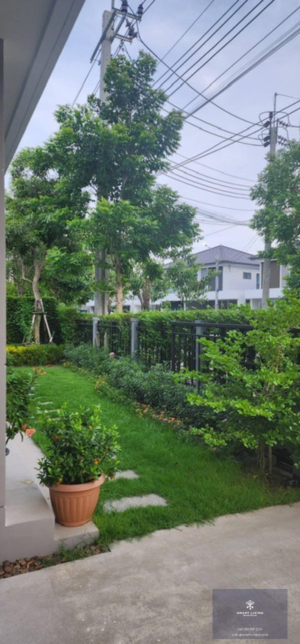 Petfriendly large size of house for rent at Centro Vibhavadi near Harrow International School & Donmuang Airport